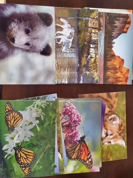 Photo of free Greeting cards (East Longmont) #2