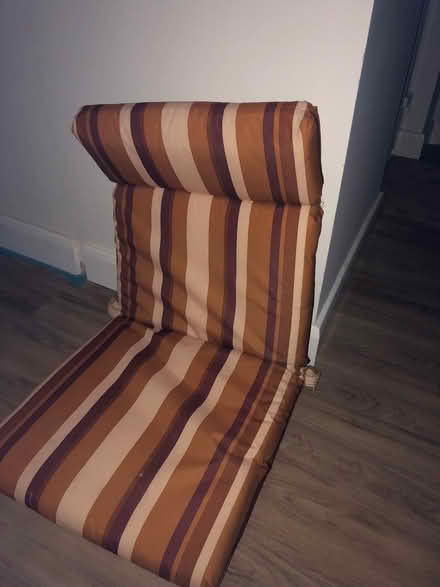 Photo of free Garden chair cushions (Torrisholme LA4) #1