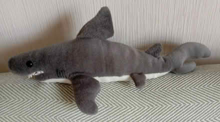 Photo of free Cuddly shark seeks new home (Kilby Bridge LE18) #2