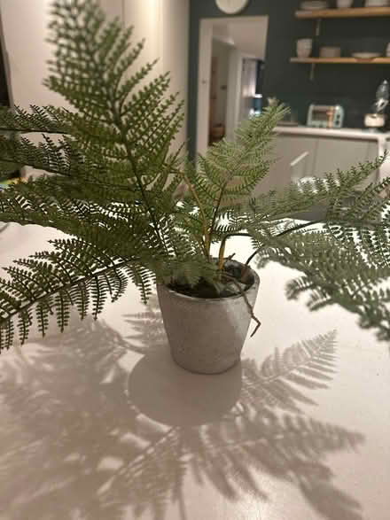 Photo of free Fake plant and pot (plastic) (Hampton Hill TW12) #1