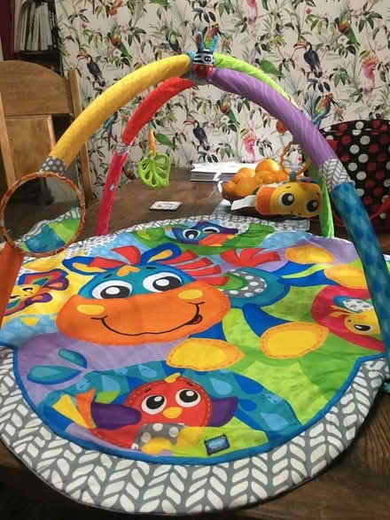 Photo of free Baby gym (Wales S26) #1