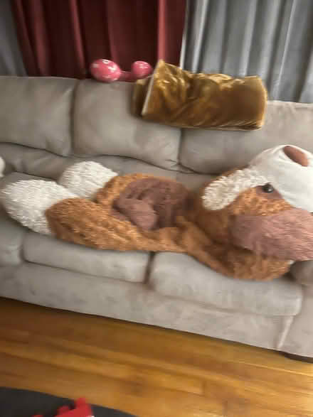 Photo of free Air filter, large stuffed dog (Midtown Newport News) #2
