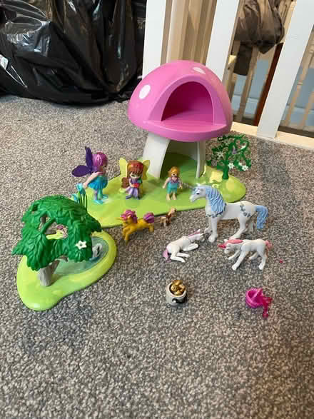 Photo of free Unicorn and fairy playmobil (NE30) #1