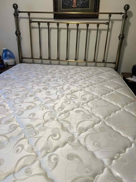 Photo of free Queen bed with frame (Canarsie) #2