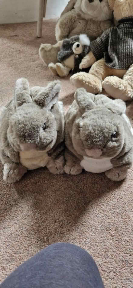 Photo of free Selection of pre-loved teddies (Danbury, CM3) #2