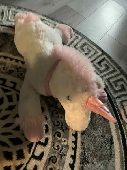 Photo of free Unicorn teddy (Belle isle) #1