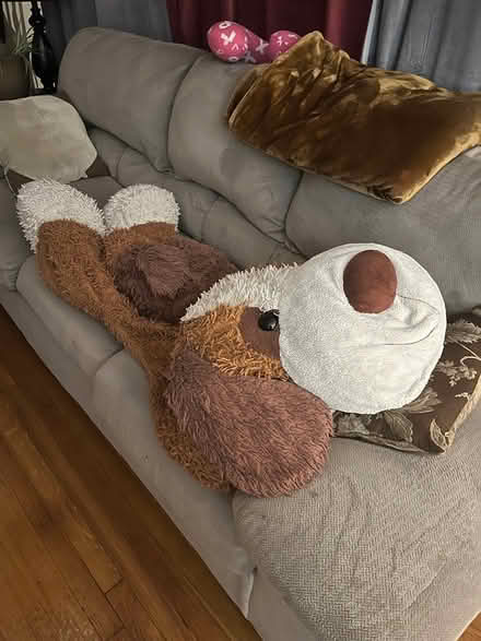 Photo of free Air filter, large stuffed dog (Midtown Newport News) #3
