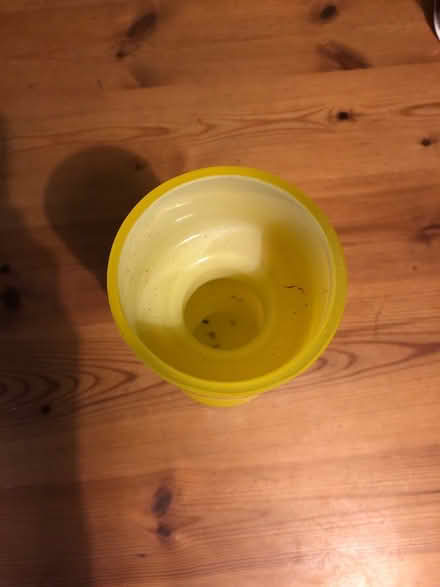 Photo of free Vase (Horsham) #2