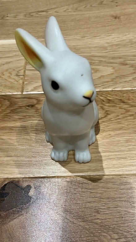 Photo of free Rabbit light decoration (SE28) #1