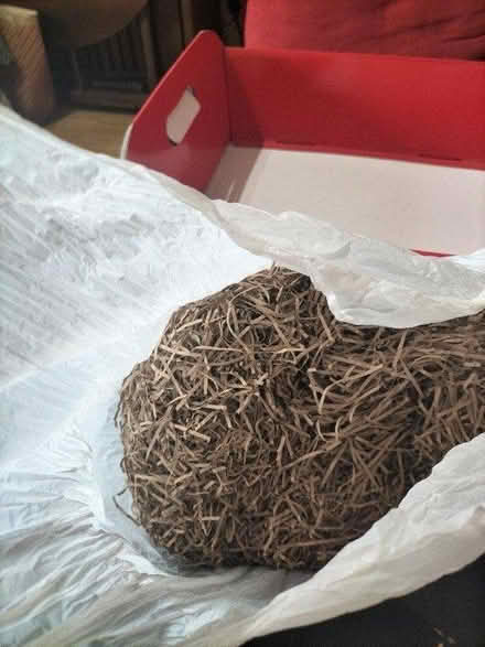 Photo of free Christmas hamper (TN37 Hastings) #2