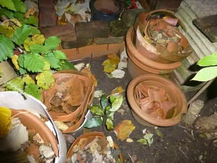 Photo of free Broken terracotta plant pots (Datchet SL3) #1