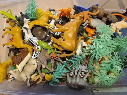 Photo of free Toy animals (Whitinsville) (Whitinsville, MA) #1