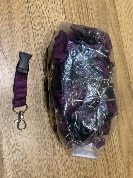 Photo of free Lanyard clips (Freehold LA1) #1