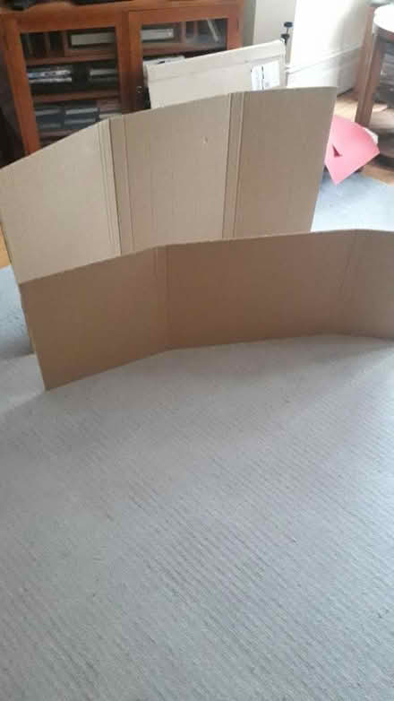 Photo of free Two sheets of sturdy cardboard (crouch end, N8) #1