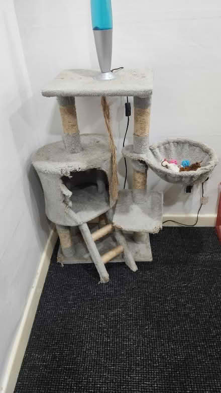 Photo of free Cat climbing frame (BB1) #1