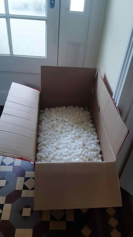 Photo of free Packing Chips (Buckfastleigh TQ11) #1
