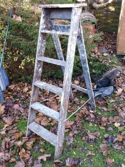Photo of free Step ladders (Polwarth EH11) #1