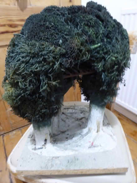 Photo of free homemade model trees (Westham, Weymouth DT4) #1