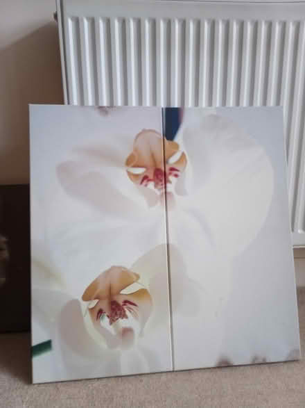 Photo of free Pictures (Lawnswood, Leeds LS16) #4