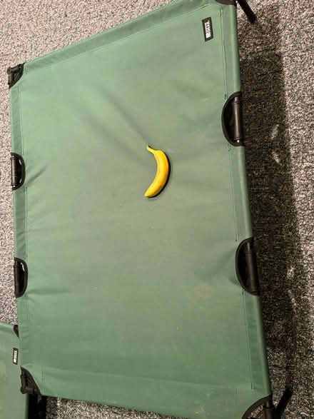 Photo of free Dog Beds (near downtown naperville) #1
