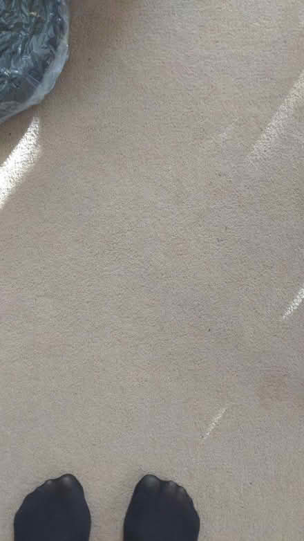 Photo of free 60 m2 of cream carpet (AL1 st Albans station) #1
