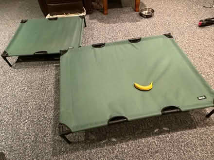 Photo of free Dog Beds (near downtown naperville) #2