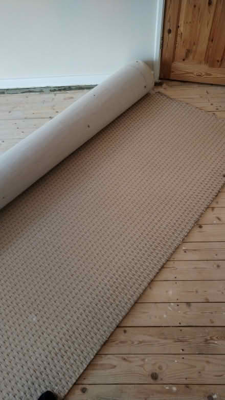 Photo of free Carpet - CM19 (Harlow CM19) #1