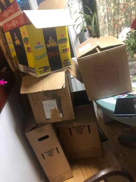 Photo of free 5 cardboard moving boxes (Chorlton-cum-Hardy M21) #1