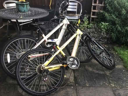 Photo of free 2 Bikes (Bexleyheath DA6) #1