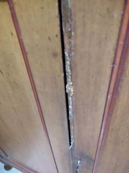 Photo of free Vintage cupboard (Fareham PO15) #4