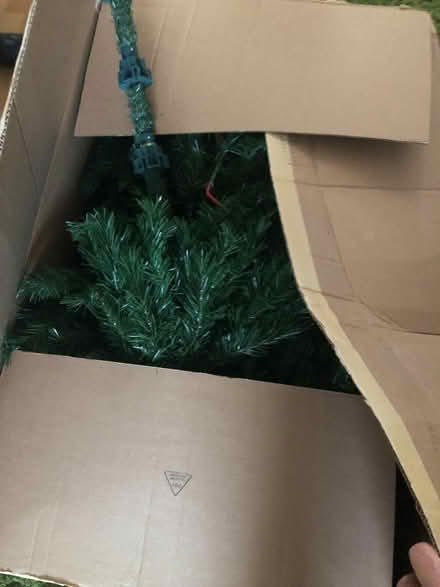 Photo of free xmas tree (Gyle EH12) #1