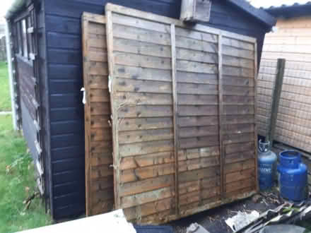 Photo of free Fence panels (Leckhampton GL53) #1