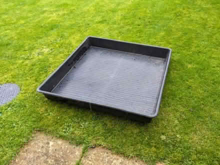 Photo of free Seed tray - was used as puppy paddling pool! (Winkfield Row RG42) #2