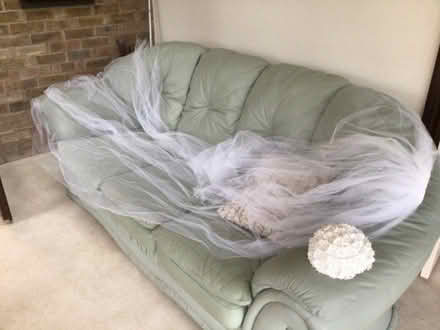 Photo of free Bridal Veil and Juliet Cap (Draycott GL11) #2