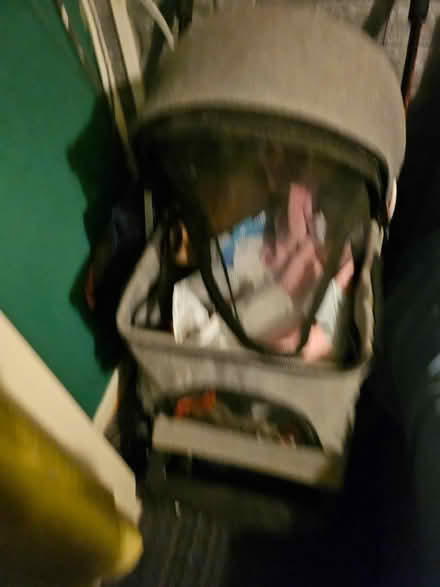 Photo of free Dog buggy (Boxgrove PO18) #3