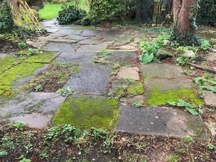 Photo of free Old slabs ideal shed base (Meole Brace SY3) #1