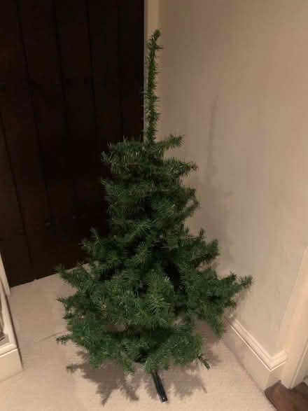 Photo of free Xmas tree (Marshalswick AL1) #1