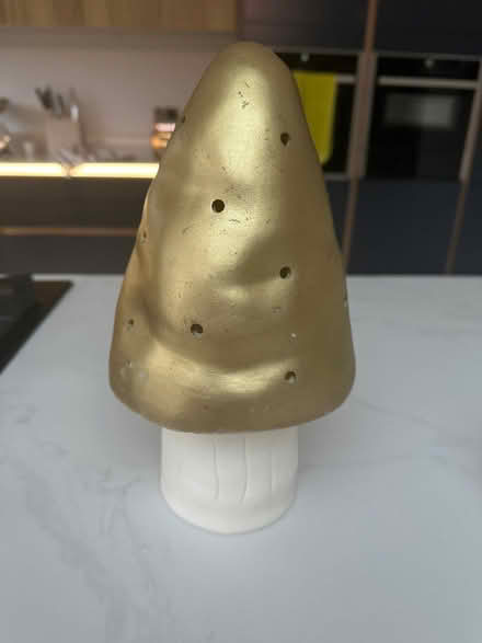 Photo of free Toadstool lamp (Clifton Without YO30) #1