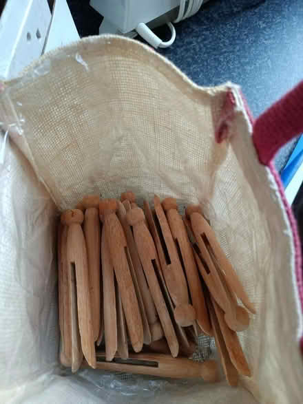 Photo of free Dolly pegs (Saltaire BD18) #1