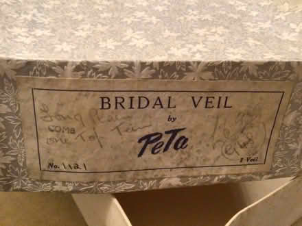 Photo of free Bridal Veil and Juliet Cap (Draycott GL11) #1