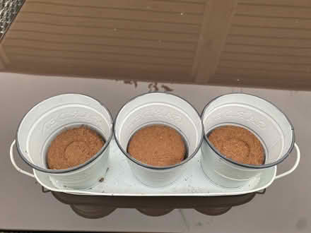 Photo of free Herb pots (Beckenham) #1