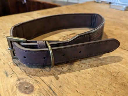 Photo of free Dog collar (Chapmanslade BA13) #3