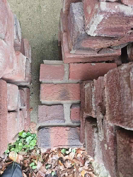 Photo of free Bricks (Wyoming, OH) #3