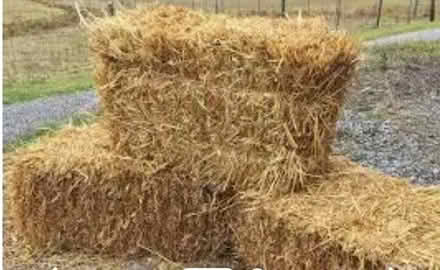 Photo of Bales of STRAW (Lansdowne) #1