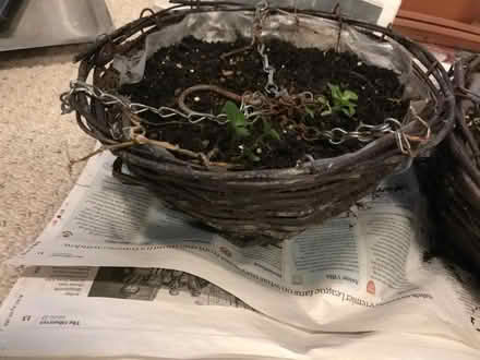 Photo of free Hanging wicker baskets x 2 (New England Quarter BN1) #1