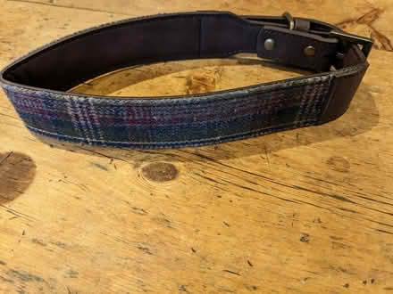 Photo of free Dog collar (Chapmanslade BA13) #2