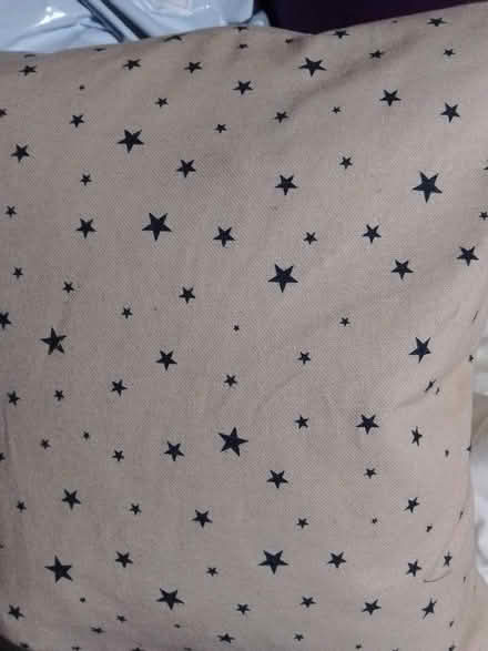 Photo of free Feather cushion (Garden City OX5) #1
