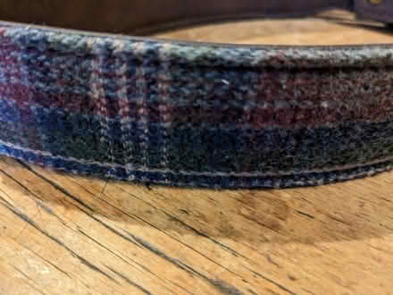 Photo of free Dog collar (Chapmanslade BA13) #1