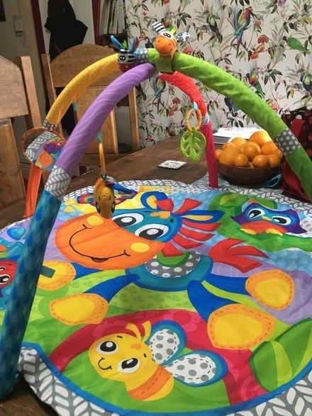 Photo of free Baby gym (Wales S26) #3