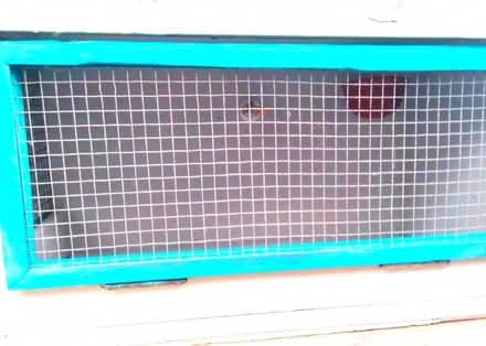 Photo of free Cage double breeding box for birds small pets animals (Haswell DH6) #3